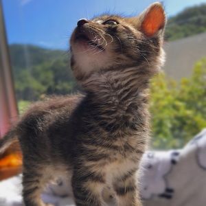 Meet your Posher, Jonathan